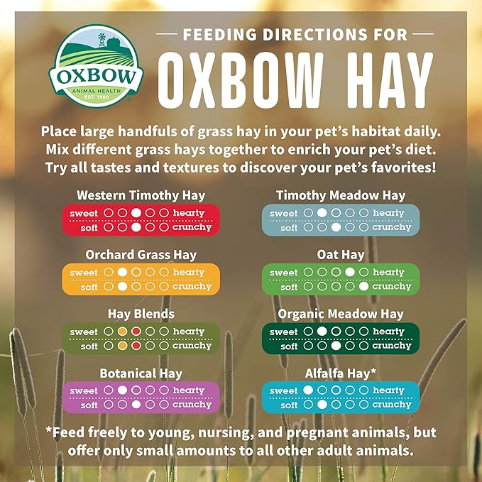 Oxbow organic meadow hay 15oz small animal hay