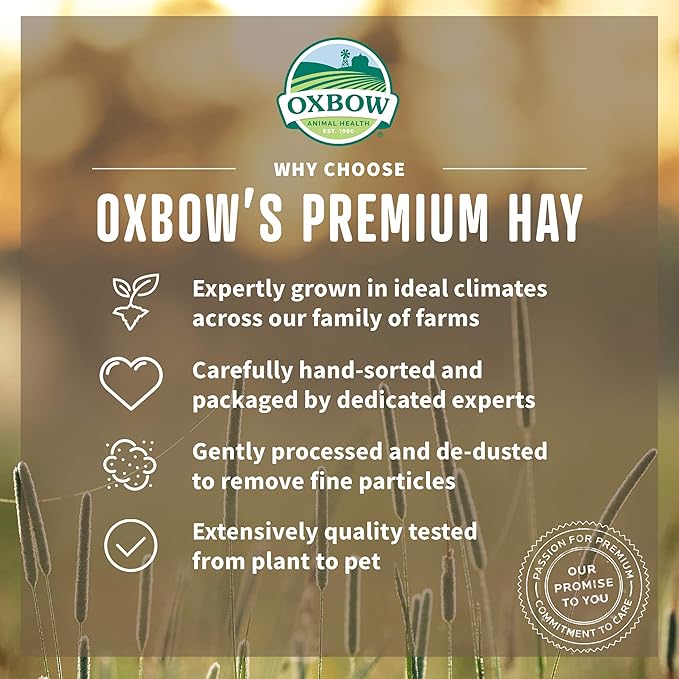 Oxbow organic meadow hay 15oz small animal hay