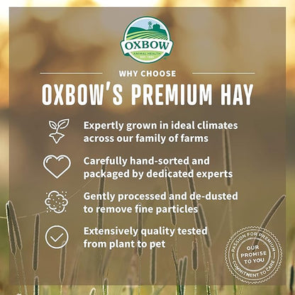 Oxbow organic meadow hay 15oz small animal hay