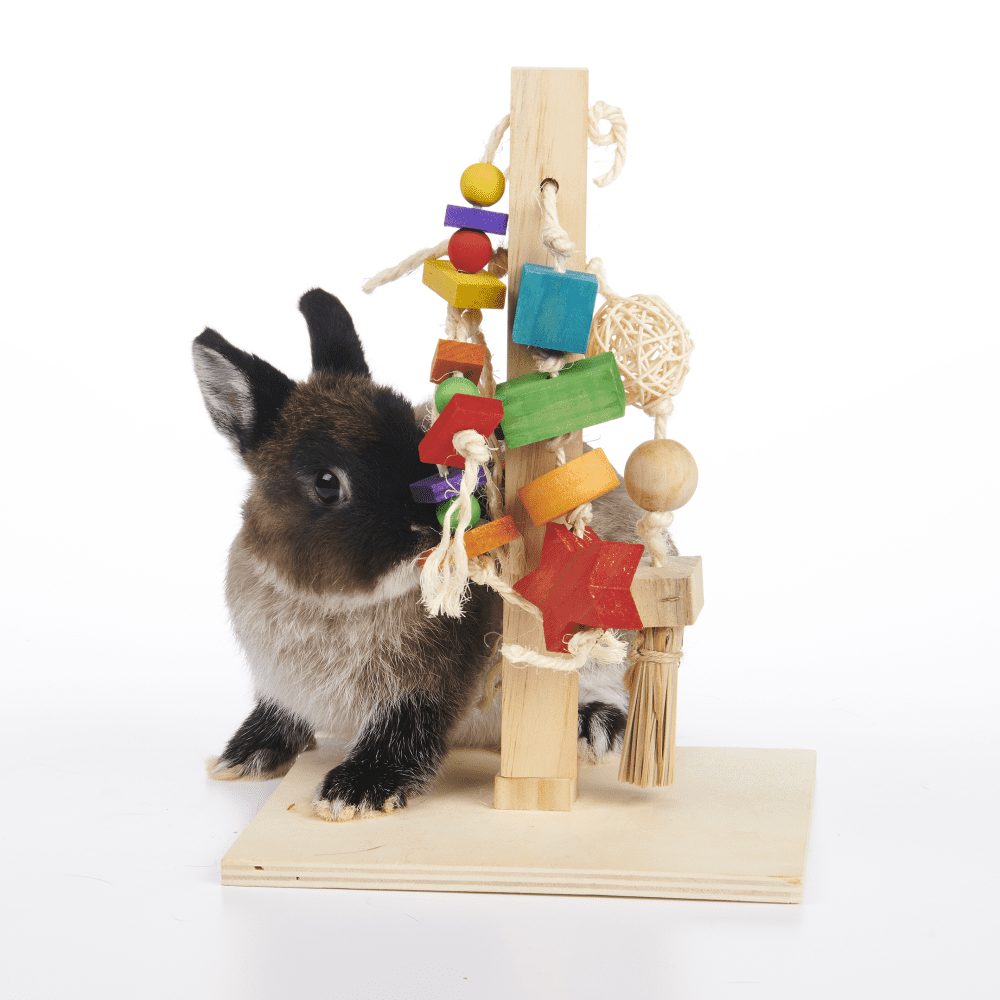 Oxbow play post for rabbits