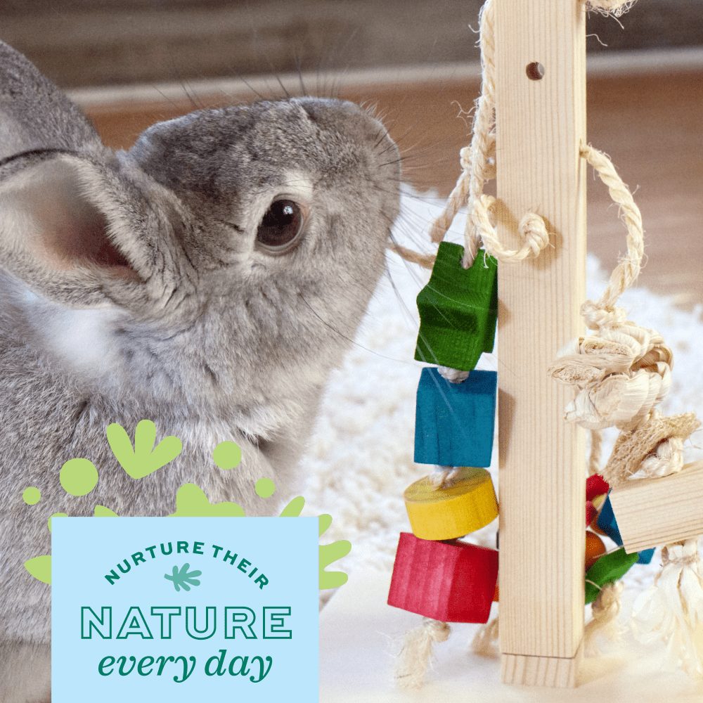Oxbow play post for rabbits