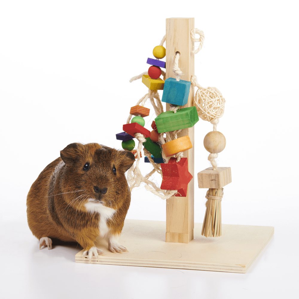 Oxbow play post for rabbits
