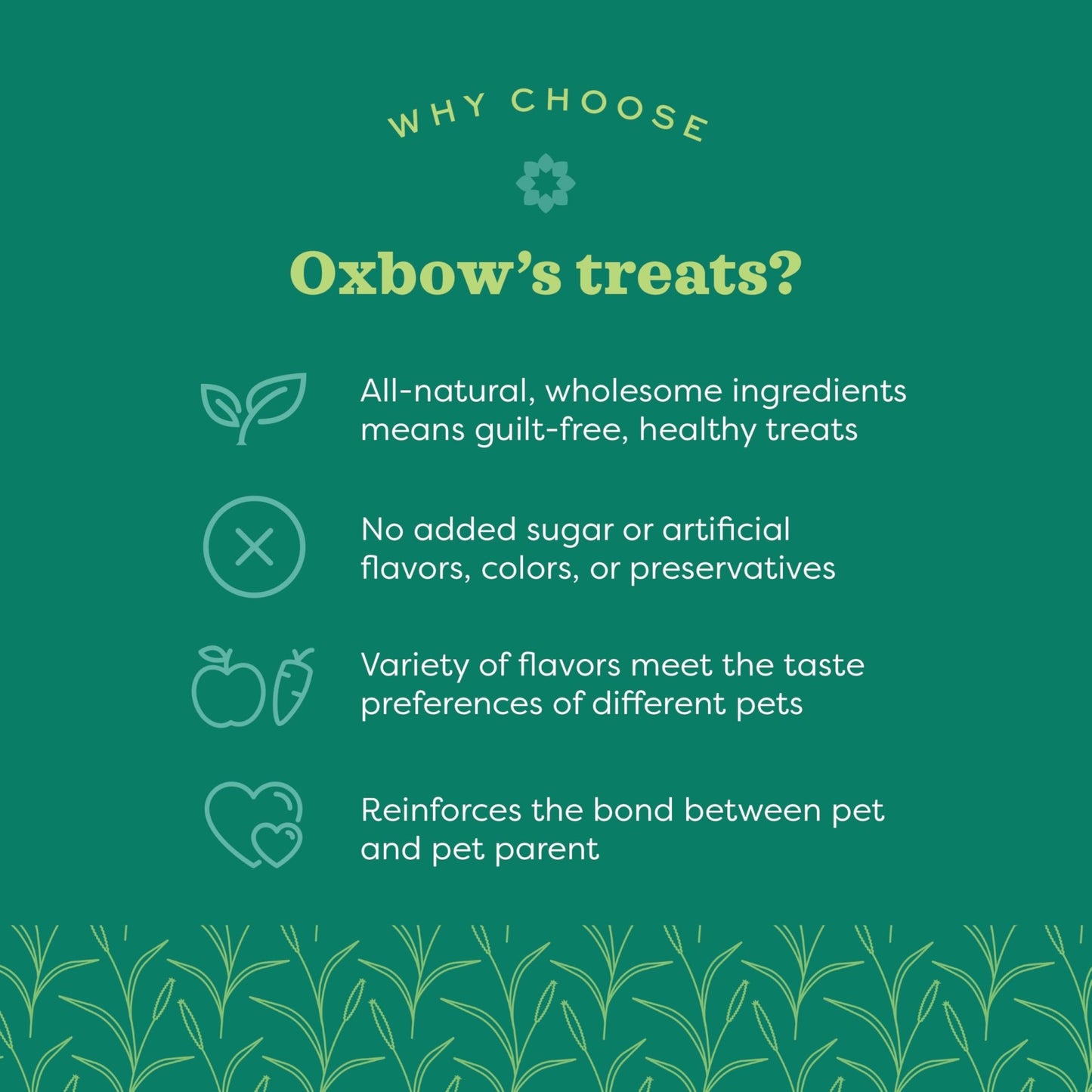 Oxbow Simple Rewards Baked Treats with Carrot, Dill, and Hay for Rabbits, Guinea Pigs, Chinchillas, and Small Pets, 3 Ounce (Pack of 1)