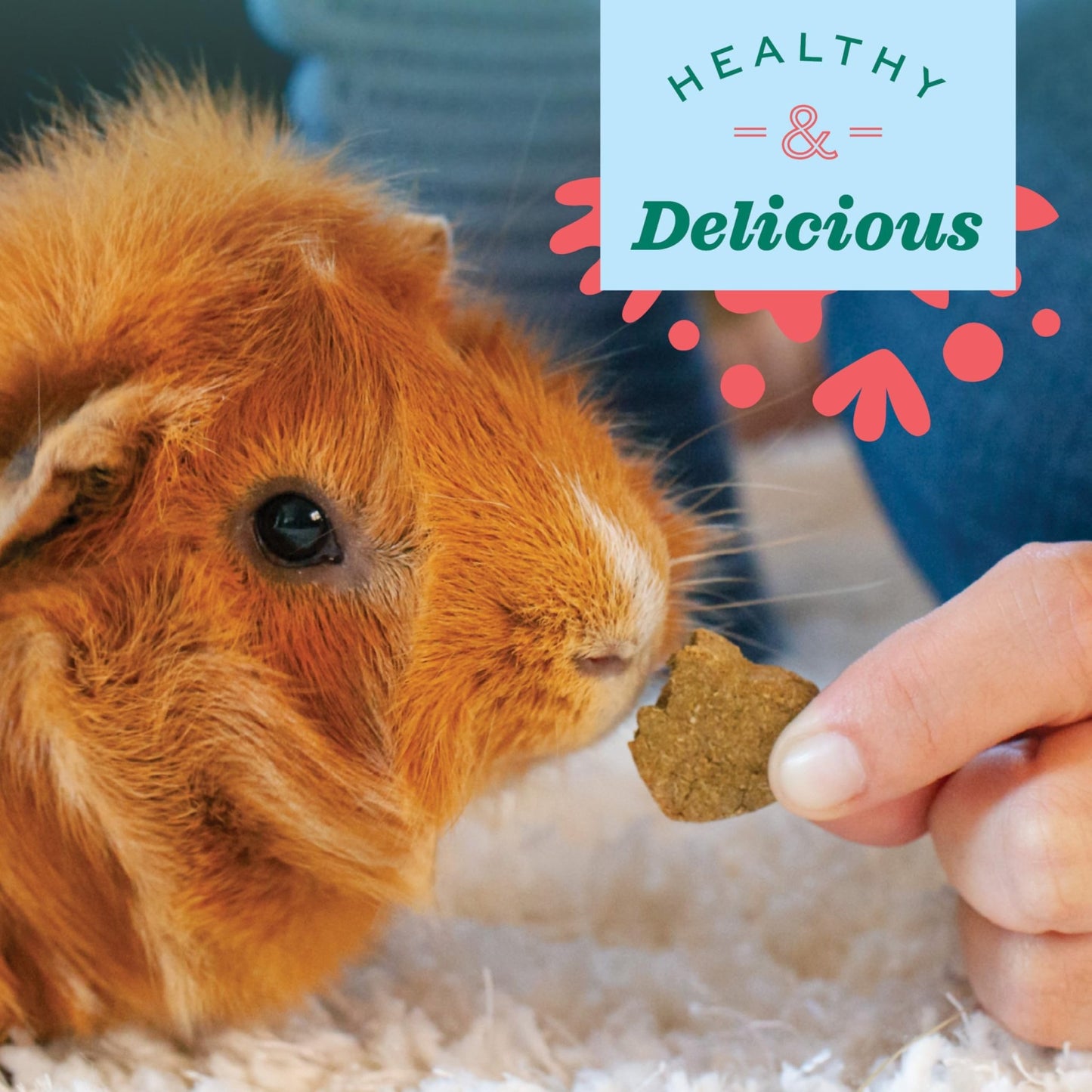 Oxbow Simple Rewards Baked Treats with Carrot, Dill, and Hay for Rabbits, Guinea Pigs, Chinchillas, and Small Pets, 3 Ounce (Pack of 1)