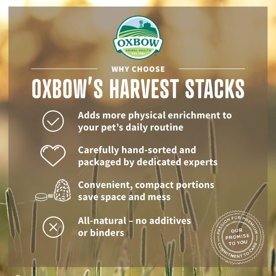 Oxbow western Timothy hay 35 oz