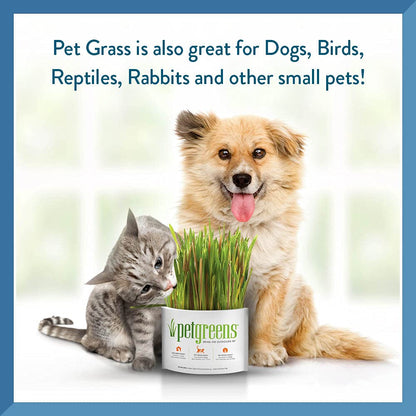 Pet Greens Self - Grow Pet Grass Kit