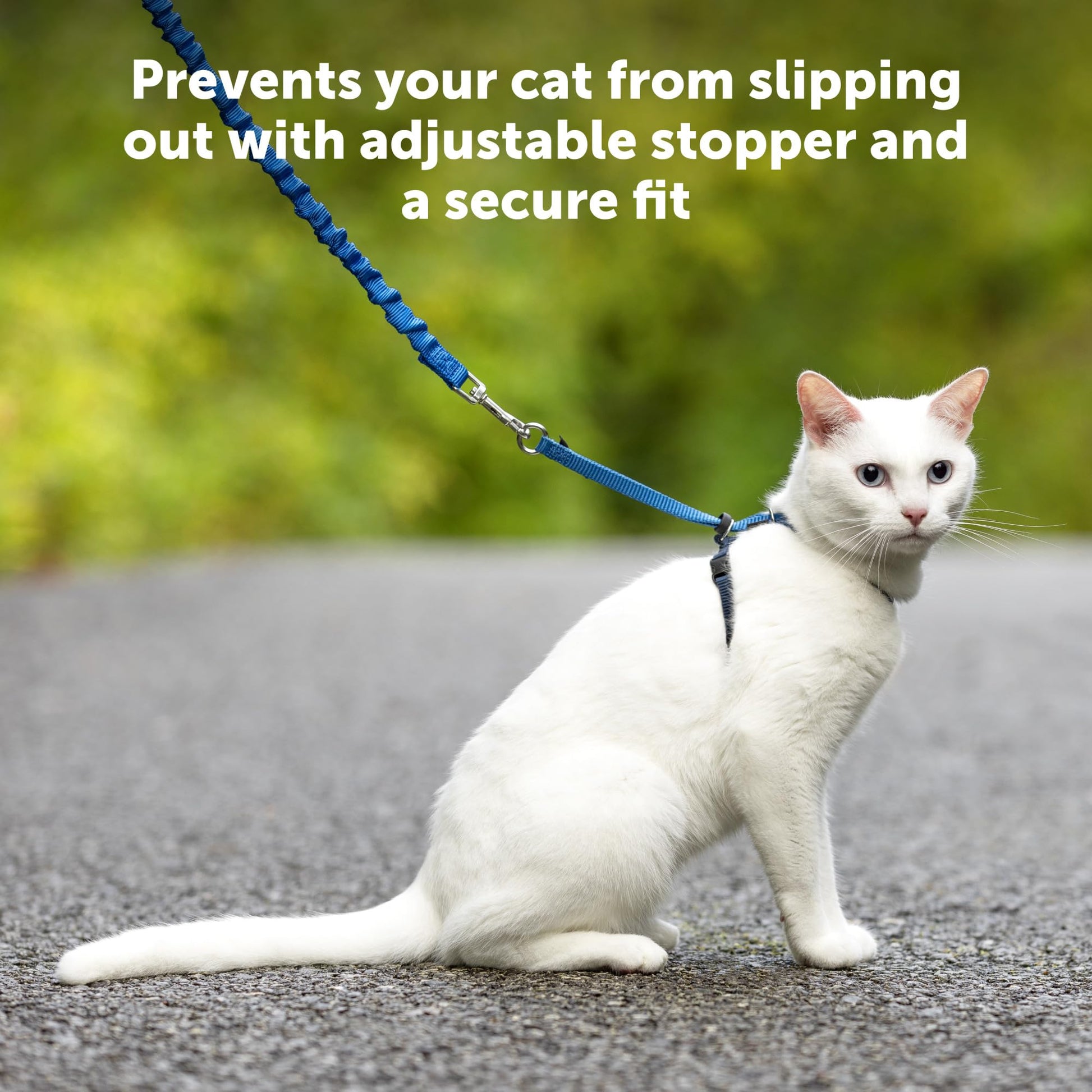 PetSafe Come with Me Kitty Harness and Bungee Leash, Small, Royal Blue