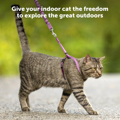 PetSafe Come with Me Kitty Harness and Bungee Leash, Small, Royal Blue