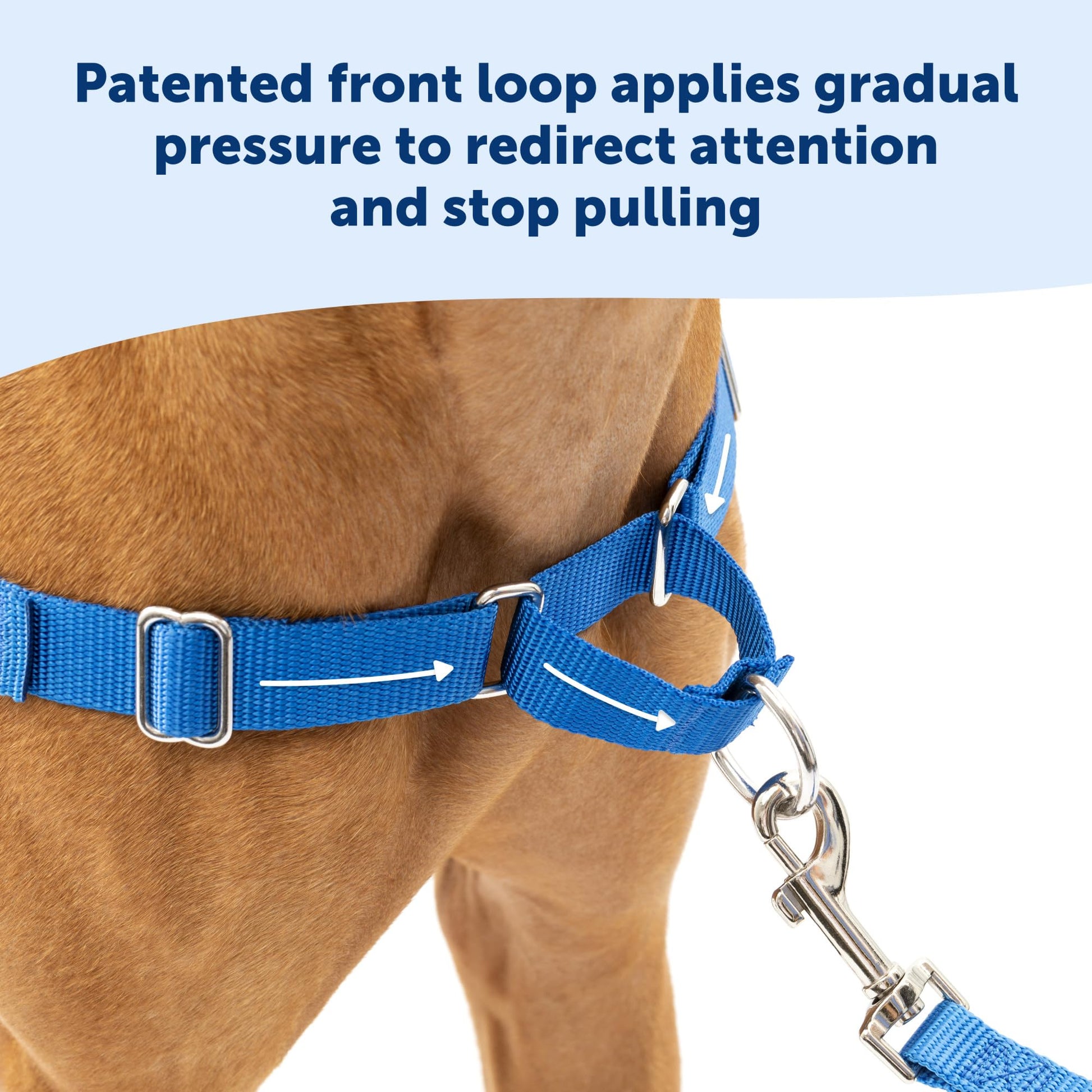 PetSafe Easy Walk No - Pull Dog Harness - The Ultimate Harness to Help Stop Pulling - Take Control & Teach Better Leash Manners - Helps Prevent Pets Pulling on Walks, Petite/Small, Black/Silver