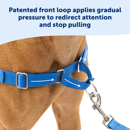 PetSafe Easy Walk No - Pull Dog Harness - The Ultimate Harness to Help Stop Pulling - Take Control & Teach Better Leash Manners - Helps Prevent Pets Pulling on Walks, Petite/Small, Black/Silver