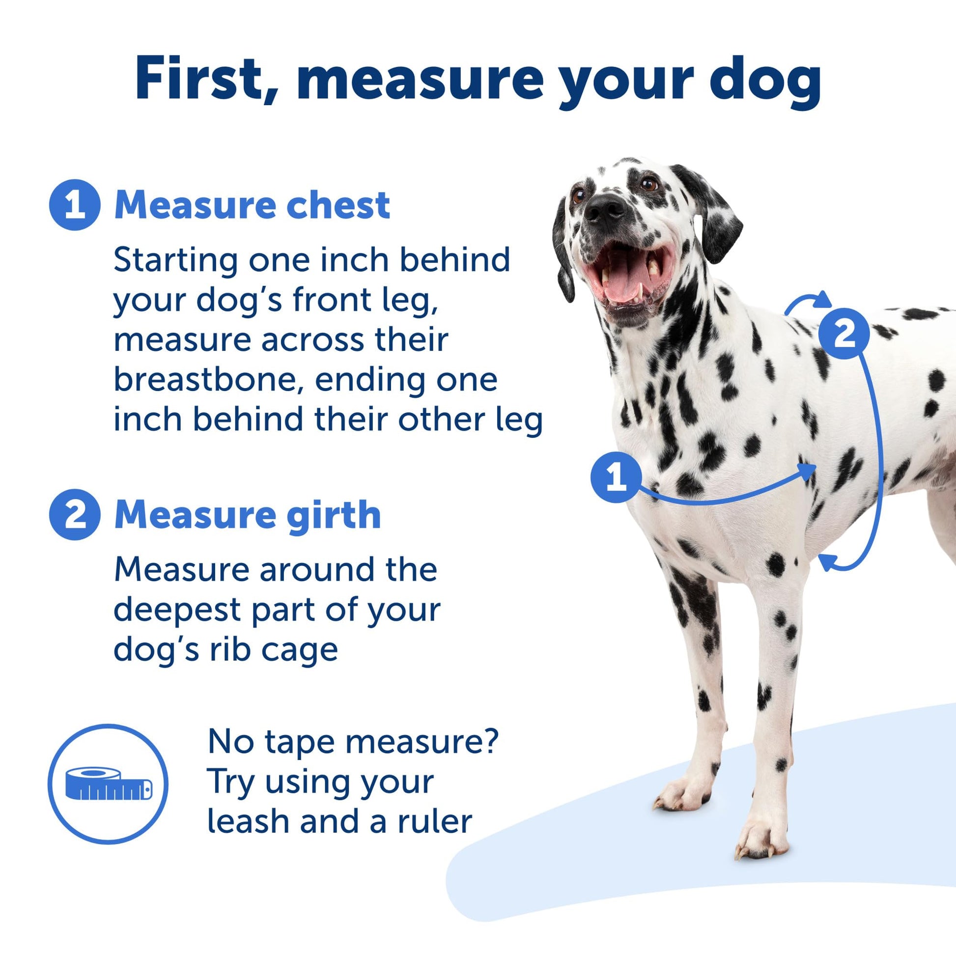 PetSafe Easy Walk No - Pull Dog Harness - The Ultimate Harness to Help Stop Pulling - Take Control & Teach Better Leash Manners - Helps Prevent Pets Pulling on Walks, Petite/Small, Black/Silver