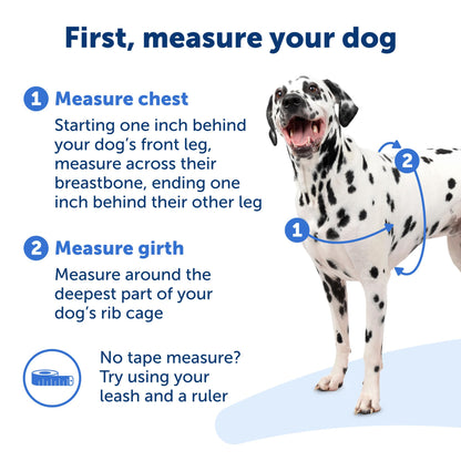 PetSafe Easy Walk No - Pull Dog Harness - The Ultimate Harness to Help Stop Pulling - Take Control & Teach Better Leash Manners - Helps Prevent Pets Pulling on Walks, Petite/Small, Black/Silver