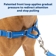 PetSafe Easy Walk No - Pull Dog Harness - The Ultimate Harness to Help Stop Pulling - Take Control & Teach Better Leash Manners - Helps Prevent Pets Pulling on Walks, Small/Medium, Black/Silver