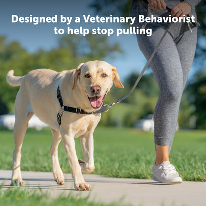 PetSafe Easy Walk No - Pull Dog Harness - The Ultimate Harness to Help Stop Pulling - Take Control & Teach Better Leash Manners - Helps Prevent Pets Pulling on Walks, Small/Medium, Black/Silver