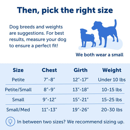 PetSafe Easy Walk No - Pull Dog Harness - The Ultimate Harness to Help Stop Pulling - Take Control & Teach Better Leash Manners - Helps Prevent Pets Pulling on Walks, Small/Medium, Black/Silver