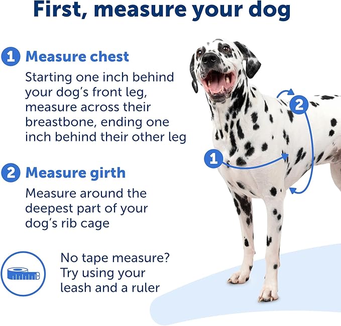 Petsafe Easy walk no pull harness size x - large