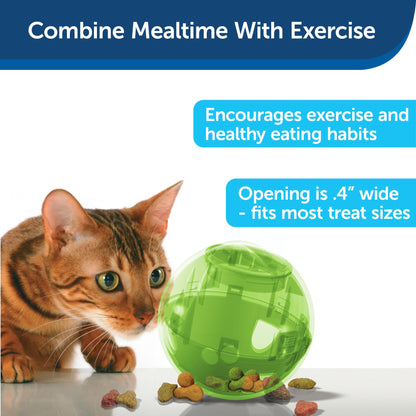 PetSafe Slimcat Feeder Ball - Interactive Game for Your Cat - Fill with Food and Treats - Green