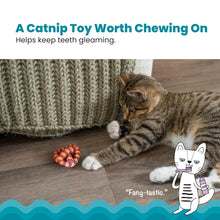 Petstages Catnip Plaque Away Pretzel Dental Cat Chew Toy