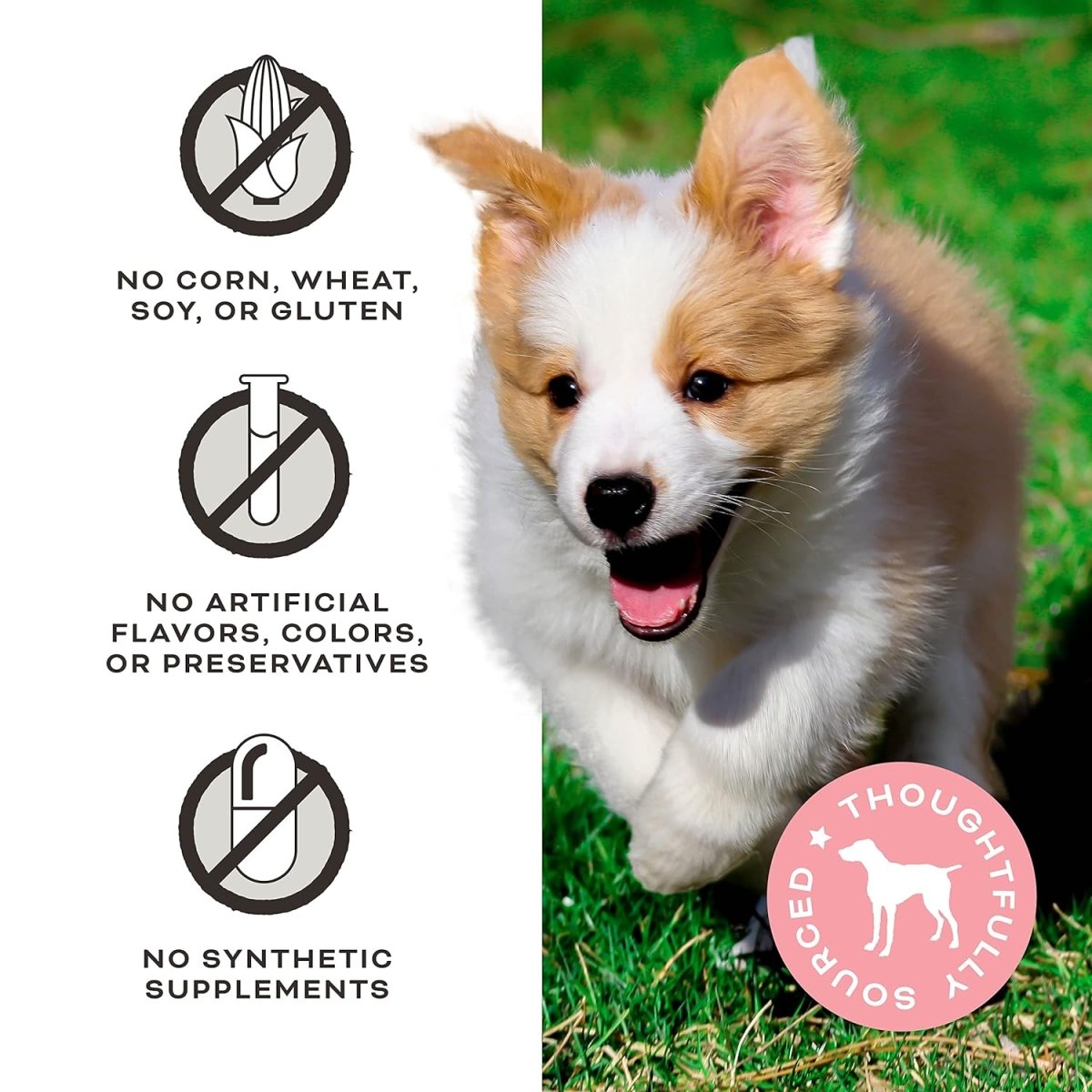 Primal Pet Foods Give Pieces a Chance Treats for Cats - Soft Chicken Jerky - Made with Bone Broth - Grain Free - 4 oz