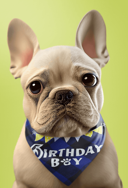 Puppibles plaid cotton luxury birthday bandana - blue