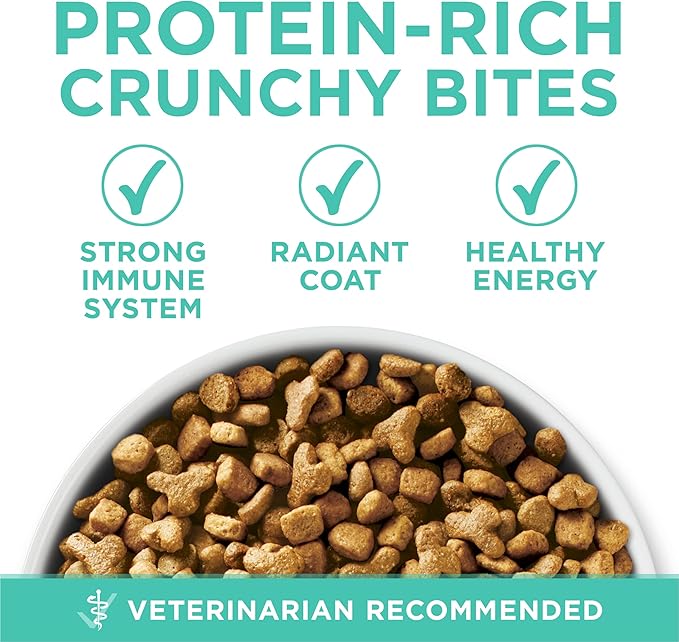 Purina one plus sensitive skin and stomach dry cat food 16lb