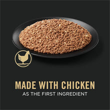 Purina pro plan classic under one year 13oz canned dog food