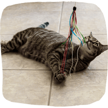 Purrfect wild hemp cat toy