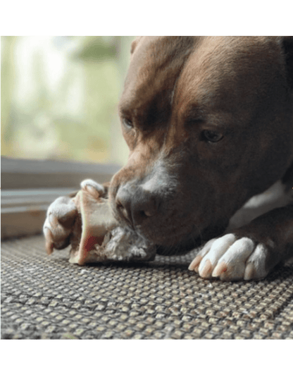 Raw beef marrow bone frozen primal foods medium