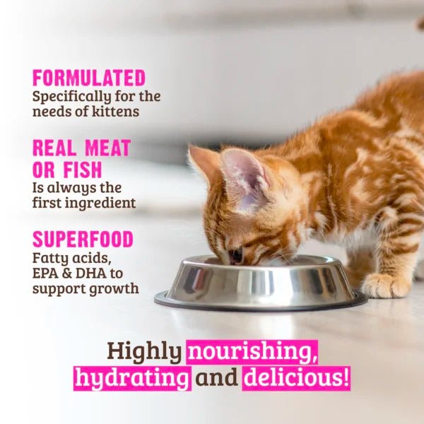 Rawz kitten salmon and tuna recipe canned kitten food 3oz
