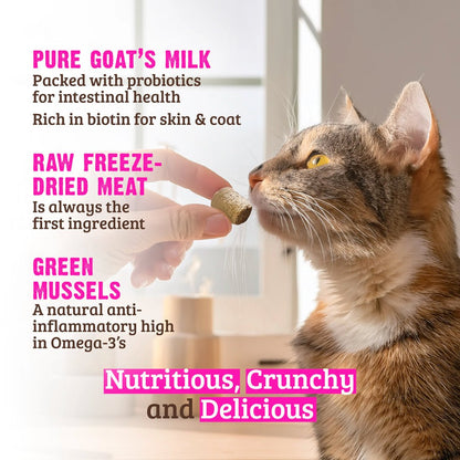 Rawz Raw Freeze Dried Venison Cat Treats - Venison Goats Milk and Green Mussels