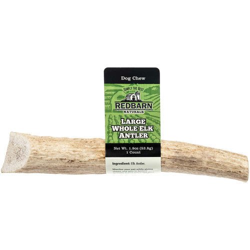 Redbarn large whole elk antler