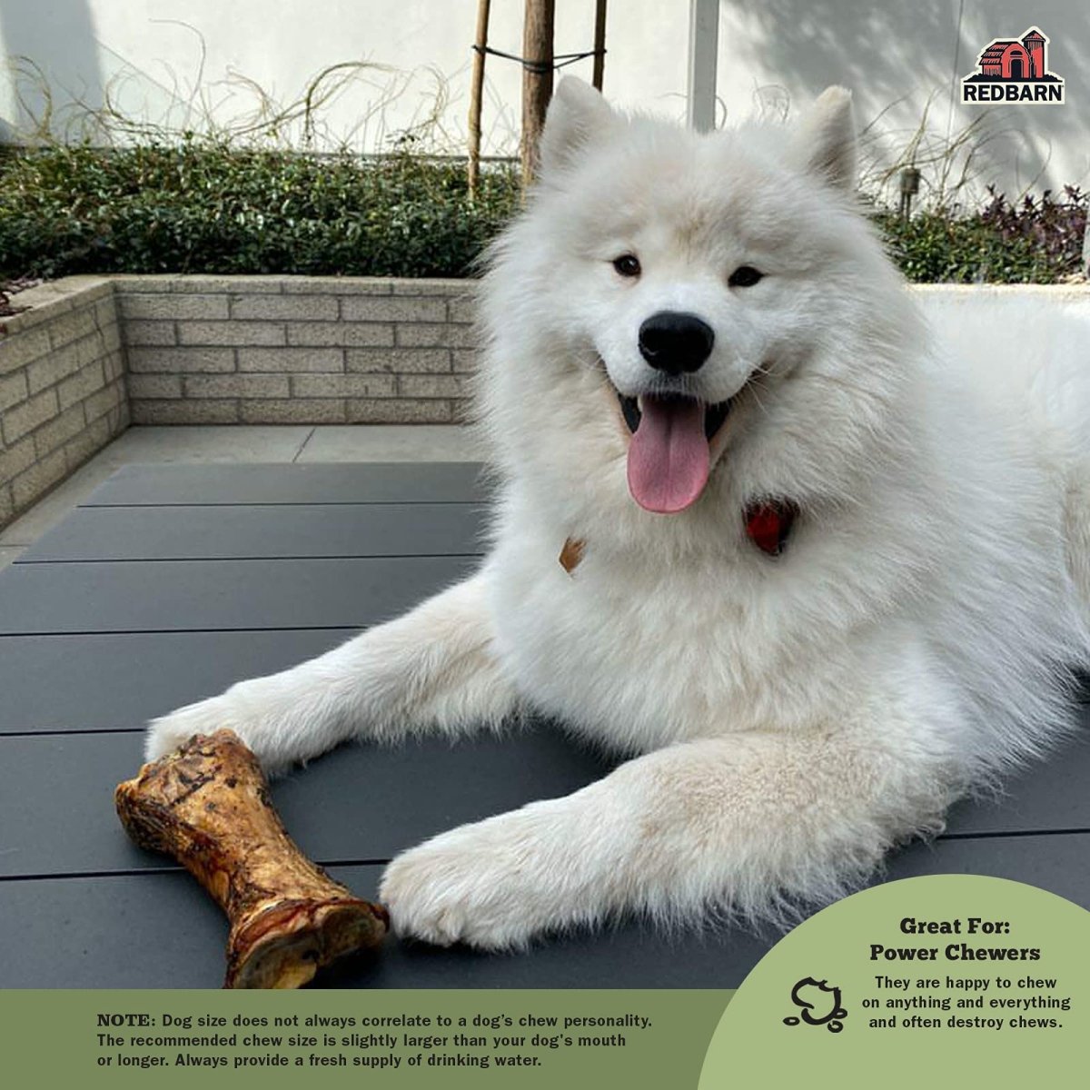 Redbarn Meaty Bone for Dogs, X - Large (1 - Count)
