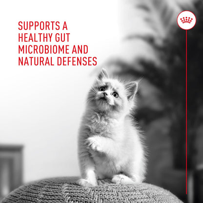 Royal canin cat probiotics 7 pack