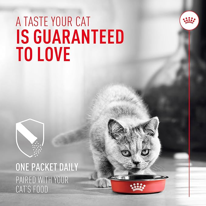 Royal canin cat probiotics 7 pack
