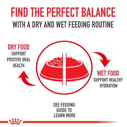 Royal Canin Poodle Adult Breed Specific Dry Dog Food, 2.5 lb Bag