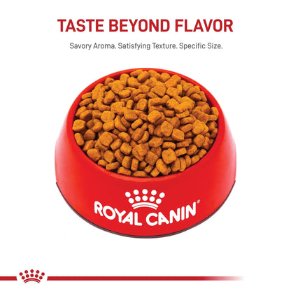 Royal Canin Poodle Adult Breed Specific Dry Dog Food, 2.5 lb Bag