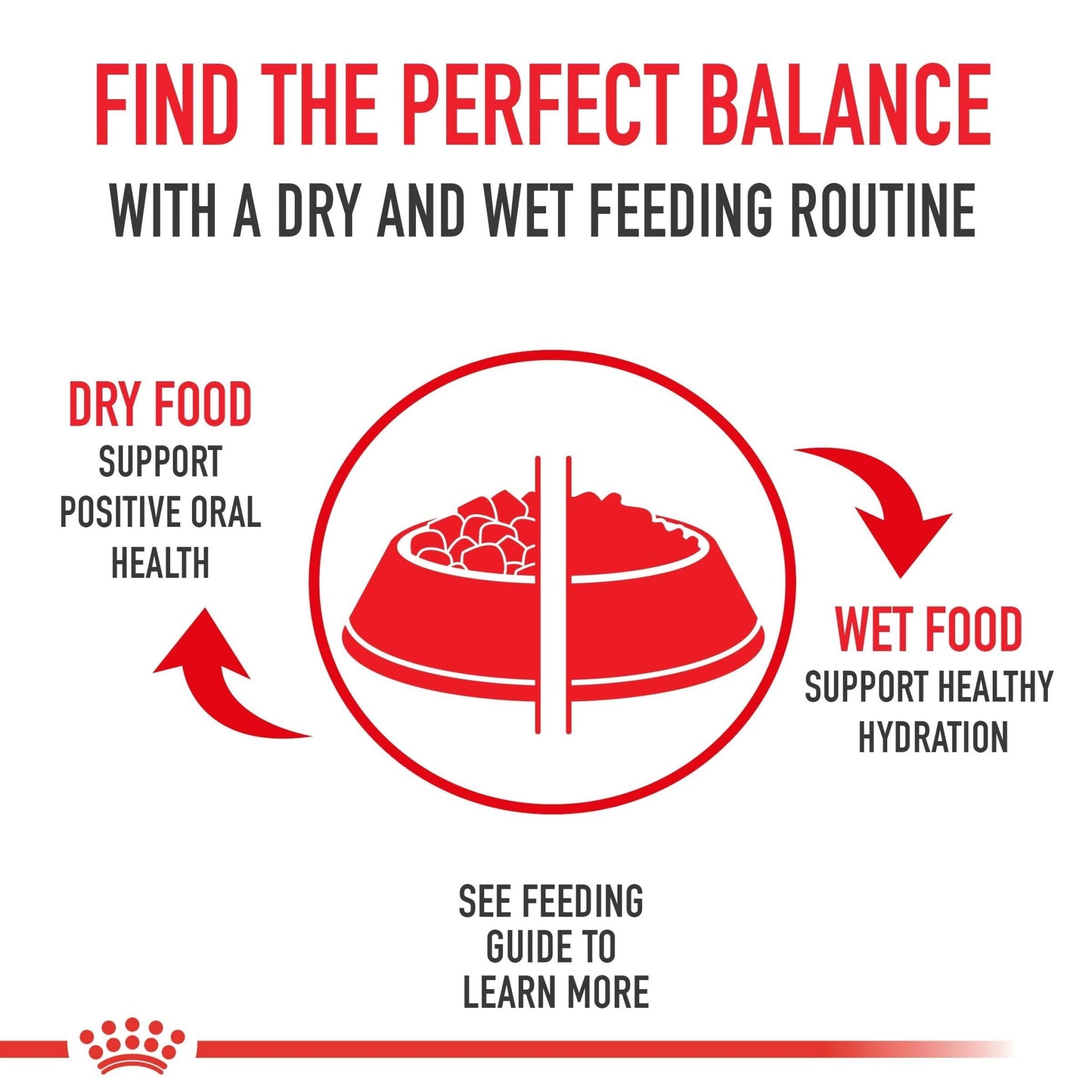 Royal Canin Small Indoor Adult Dry Dog Food, 2.5 lb Bag - Tailored Nutrition for Indoor Small Breed Dogs