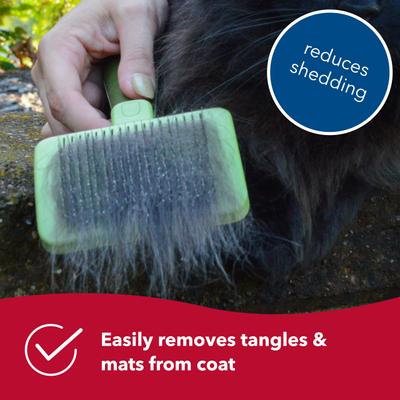 Safari stainless steel pin flexible slicker cat brush