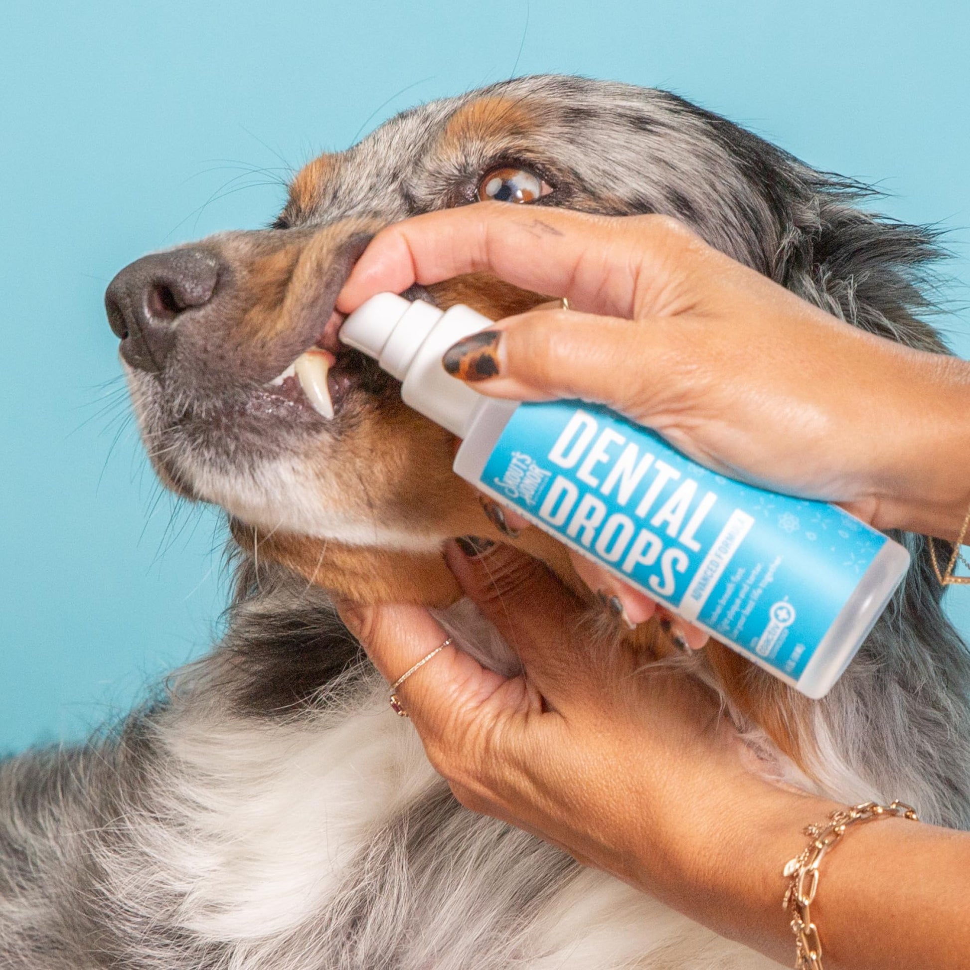 Skout'S Honor: Advanced Dental Drops For Dogs & Cats 4Oz