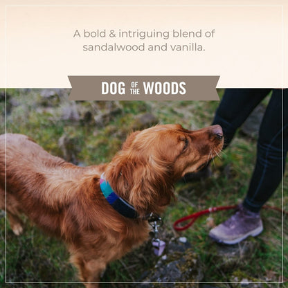 SKOUT'S HONOR Probiotic Daily Use Dog of The Woods Deodorizer - 8 fl oz - 8 FZ
