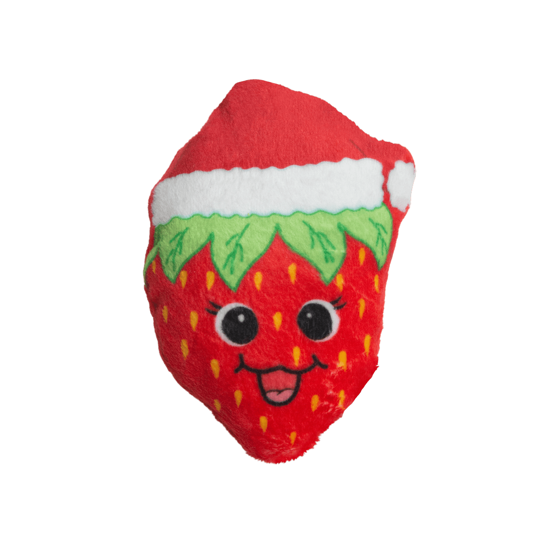 Snugarooz w catnip kitty berry Xmas cat toy plus strawberry