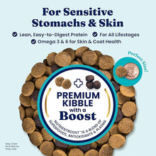 Solid Gold Sensitive Stomach Gut Health Cold Water Salmon & Vegetable Grain - Free Dry Dog Food, 3.75 - lb bag
