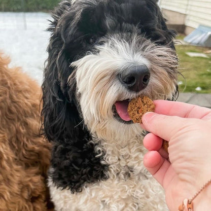 Sour dog crunch munch apple and carrot recipe dog treats