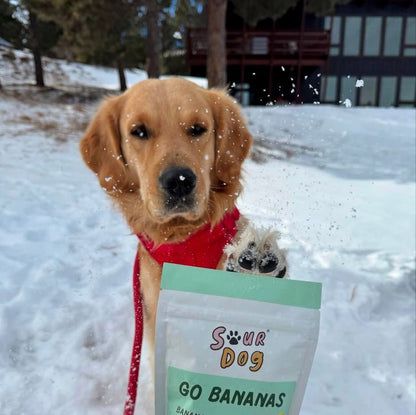 Sour dog go bananas dog treats