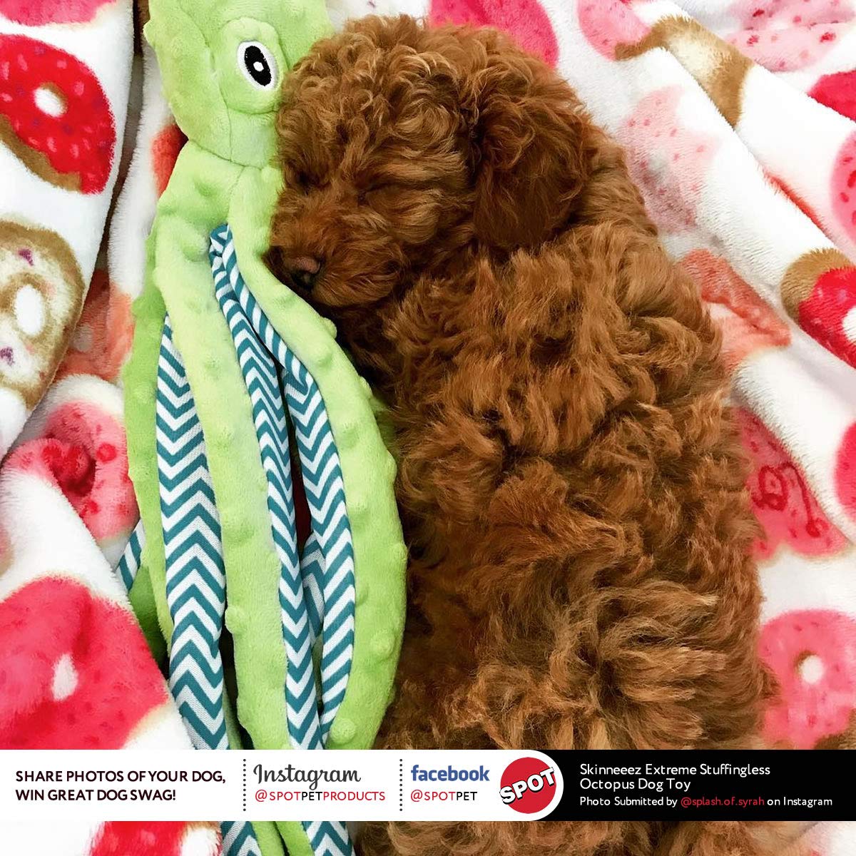 SPOT by Ethical Products Skinneeez Extreme Stuffless Dog Toy with Squeaker | Extra Strong Plush Tug of War Octopus Squeak Toy for Small and Large Dog Breeds | 16", 1 - Pack