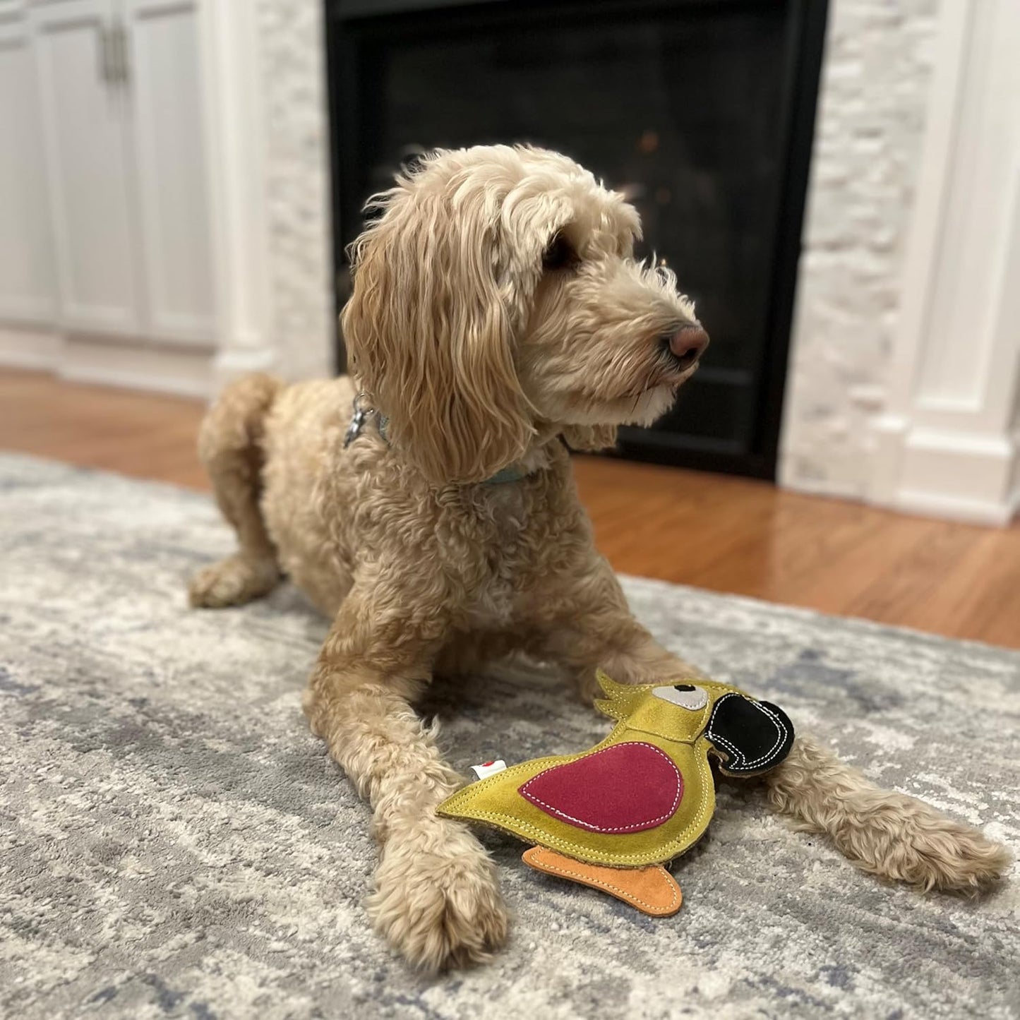 Spot duraflex all natural leather colors dog toy - bird