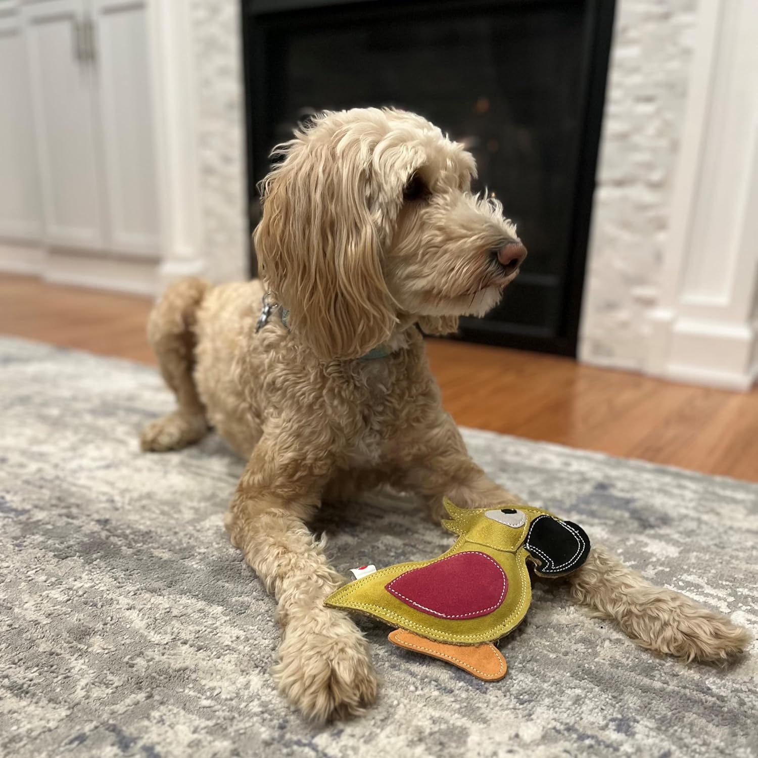 Spot duraflex all natural leather colors dog toy - bird