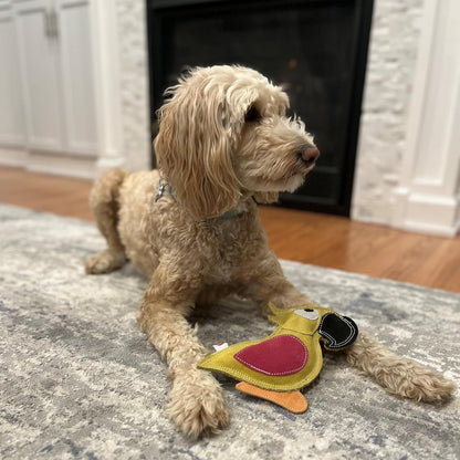 Spot duraflex all natural leather colors dog toy - bird