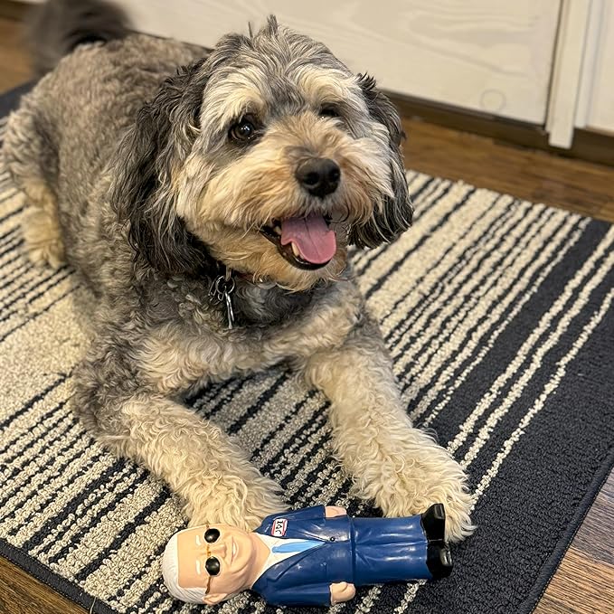Spot latex dog toy with squeaker Joe Biden