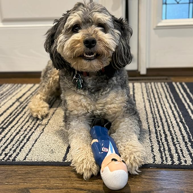 Spot latex dog toy with squeaker Joe Biden